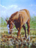 index002004.jpg