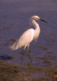 index005003.jpg