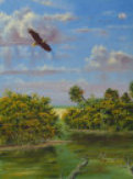 index006001.jpg