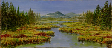 index006005.jpg
