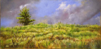 index006006.jpg