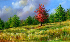 index006009.jpg